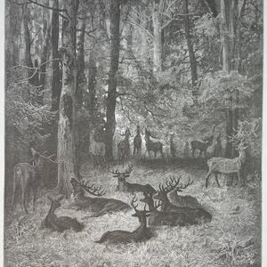 Dore, Fables, Ailing Stag, Eagle and Magpie, Print, Bookplate, ~ 240706-WH 290